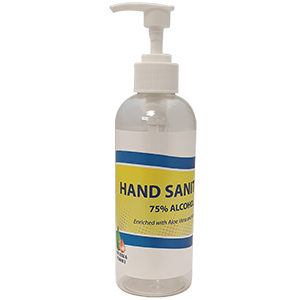 Hand Sanitizer 300ml Pump Bottle
